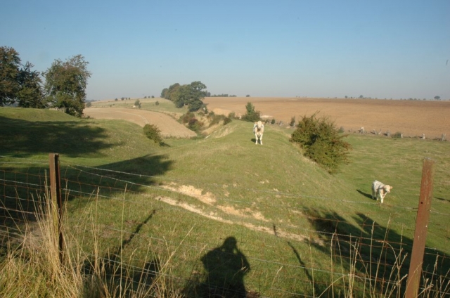 St-Just-en-Chaussée - EFC - Plateforme en direction de Crèvecoeur - 2008
