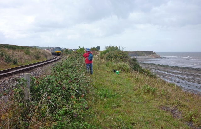 Doniford Halt 2011
