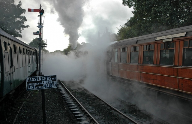 Bridgnort 2011
