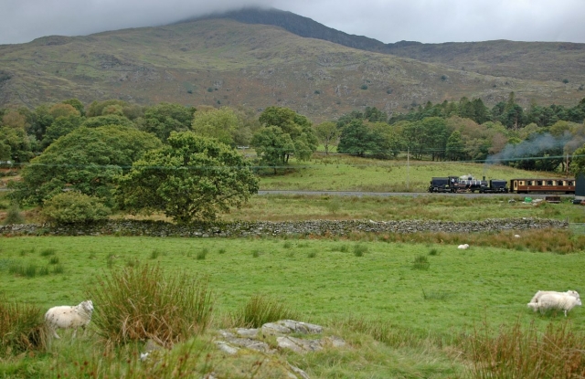 Beddgelert 2011
