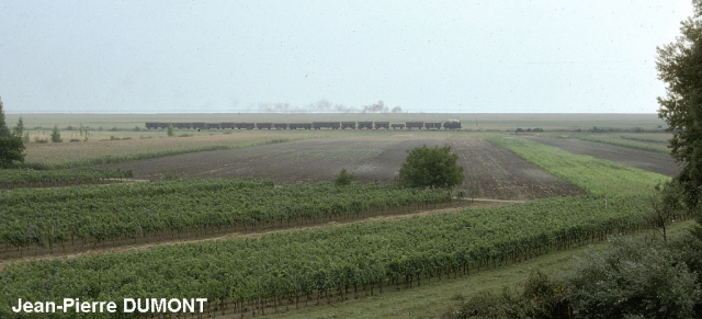 Neusiedl-am-See - Train en provenance de Pamhagen - 1976
