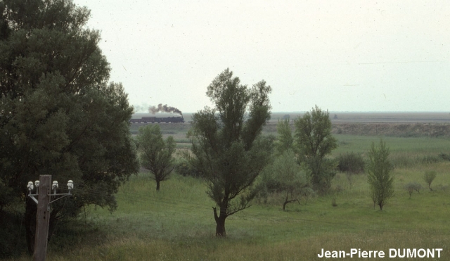 Neusiedl-am-See - Train en provenance de Pamhagen - 1976
