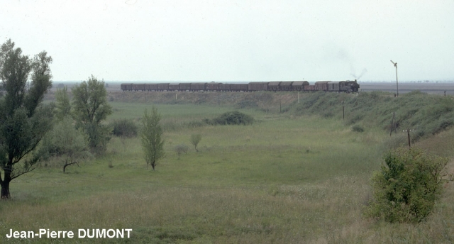 Neusiedl-am-See - Train en provenance de Pamhagen - 1976
