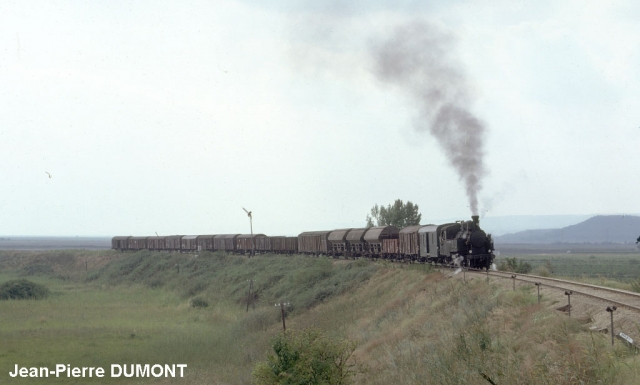 Neusiedl-am-See - Train en provenance de Pamhagen - 1976
