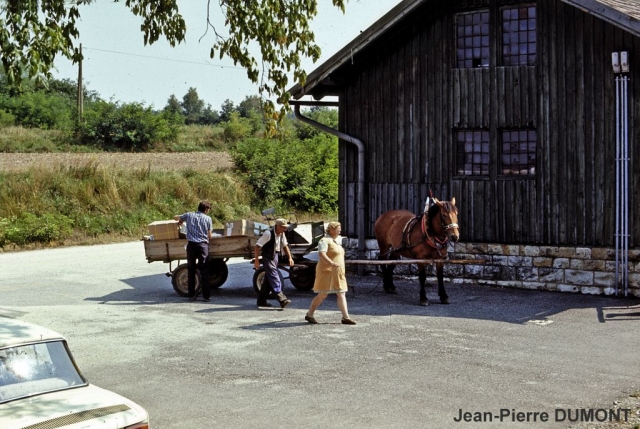 76-09-91841-deutschkreutz-oberloisdorf_1.jpg