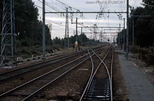 Labouheyre
Le train, toujours sur la ligne principale, atteint l'embranchement de la ligne de Sabres
