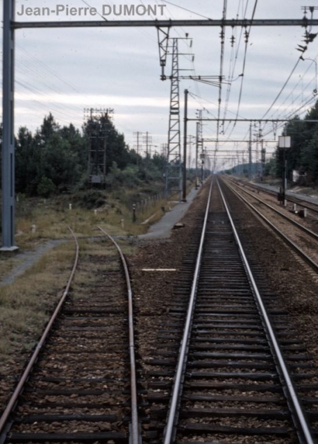 Labouheyre
Le train s'engage sur la ligne de Sabres, ancienne ligne VFL exploitÃ©e par le CF touristique des Landes de Gascogne
