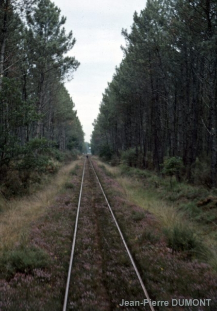 Labouheyre - Marquèze
