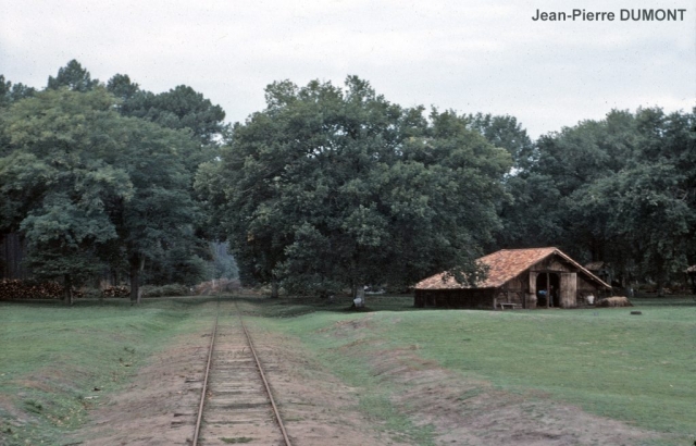 MarquÃ¨ze - EcomusÃ©e
ArrivÃ©e du train spÃ©cial FACS en provenance de Labouheyre.
