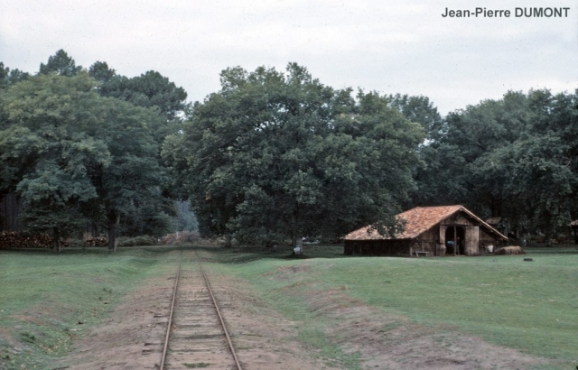 Marquèze - Ecomusée
Arrivée du train spécial FACS en provenance de Labouheyre.
