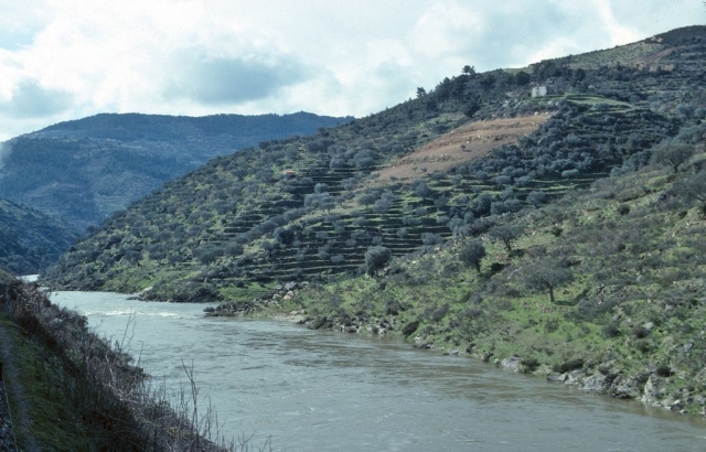 Mirandela-Tua
