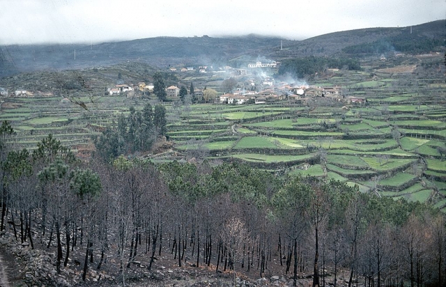 Chaves-Regua
