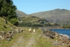 Nom du fichier=2007-wales-122_Ffestiniog_Ry_Tan-Y-Grisiau.jpg
Taille du fichier=241Ko
Dimensions : 1162x800
Ajouté le : 26 Décembre 2011 2007-wales-122_Ffestiniog_Ry_Tan-Y-Grisiau.jpg