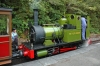 2007-wales-195-Talyllyn.jpg