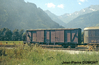 71-08-238b03neg.jpg
