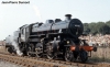 75-09-9017gb-Shildon_1.jpg