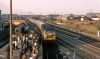 Nom du fichier=75-09-9621gb-Shildon_1.jpg
Taille du fichier=151Ko
Dimensions : 1016x600
Ajouté le : 02 Décembre 2014 75-09-9621gb-Shildon_1.jpg