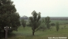 76-09-90904-neusiedl-a-see.jpg