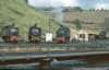 77-03-635portug-regua.jpg